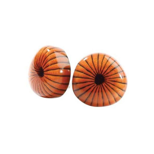 Earrings Pure Sunset - Stud (20mm)