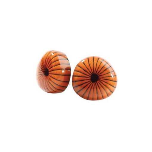 Earrings Pure Sunset - Clips (25mm)